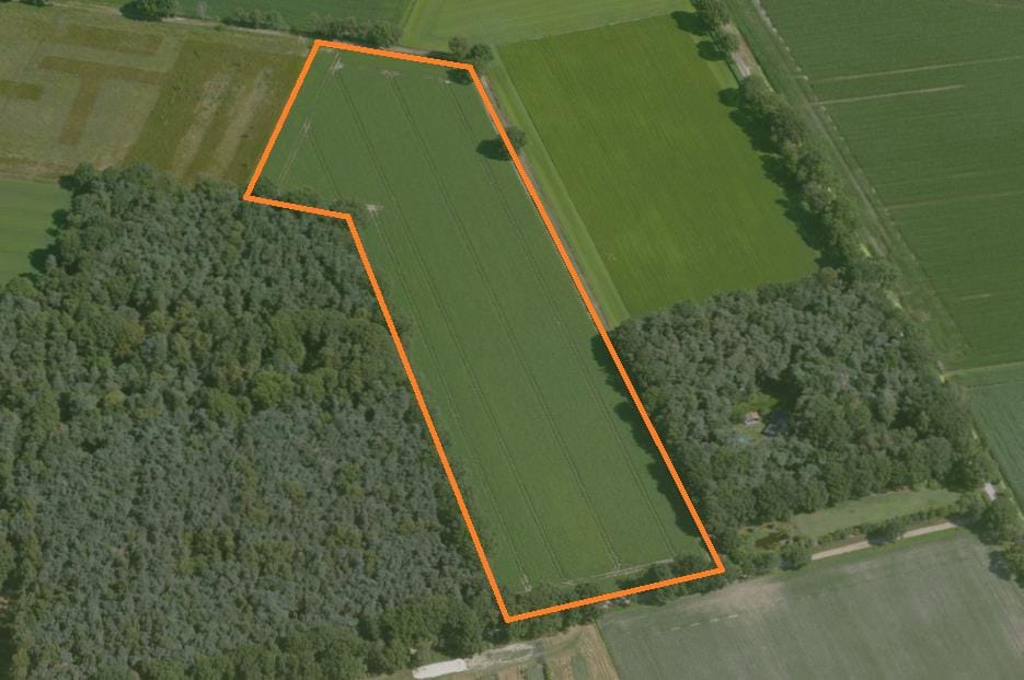 Bekijk foto 1 van De Hei