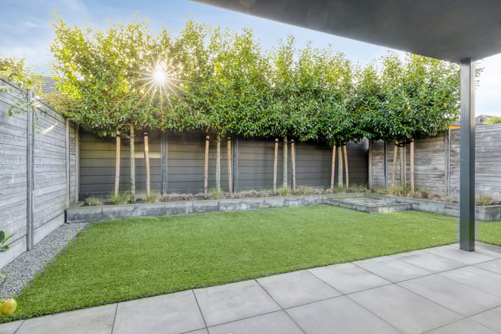 Photo 34 of Bosuil 15