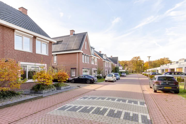 Photo 38 of Bosuil 15