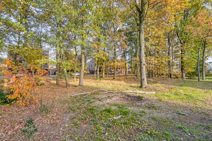 Photo 39 of Bosuil 15