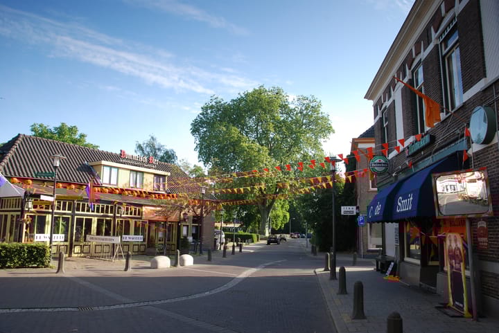 Foto 3 van Hoflaan 15-A