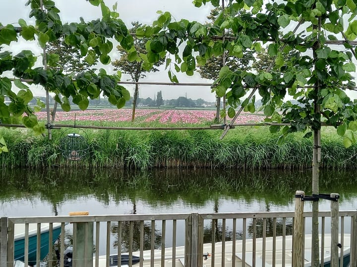 Photo 35 of Droge Wijmersweg 5-107