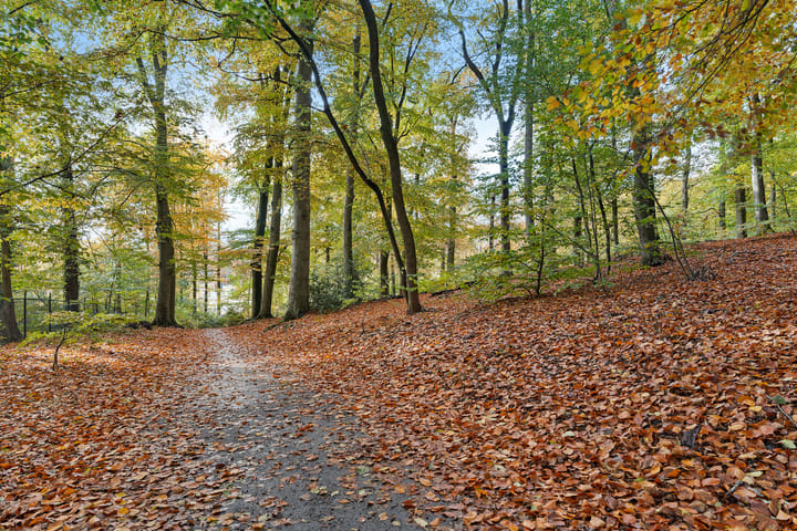 Photo 26 of Vijverlaan 1-19