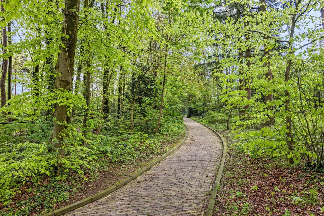 Foto 32 van Graaf van Rechterenweg 53-18