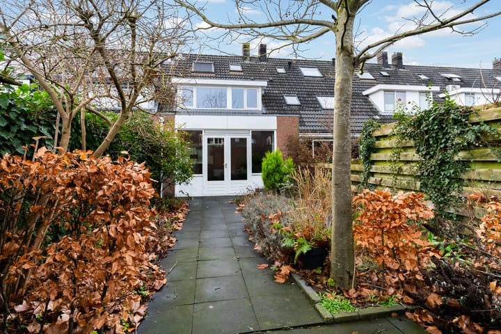 Photo 2 of Romulus 24