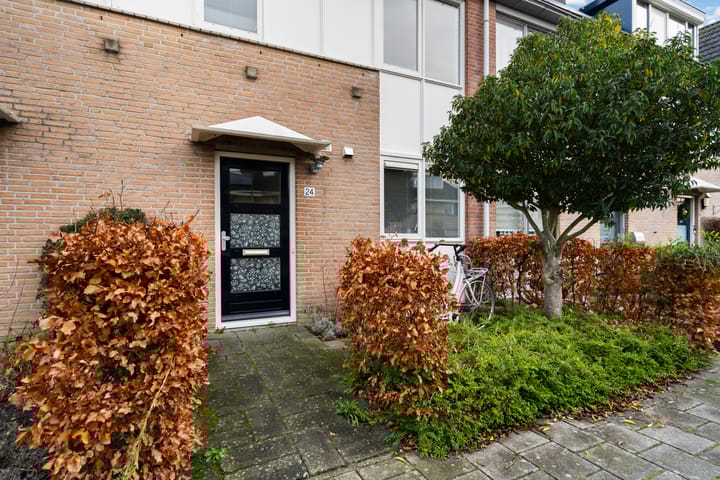 Photo 5 of Romulus 24