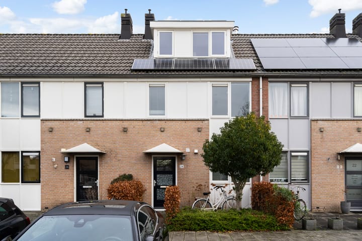 Photo 4 of Romulus 24