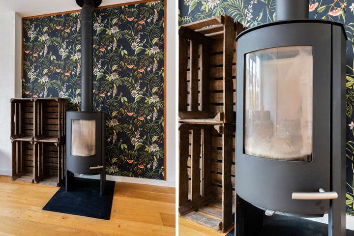 Photo 11 of Romulus 24