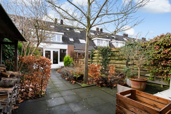 Photo 29 of Romulus 24