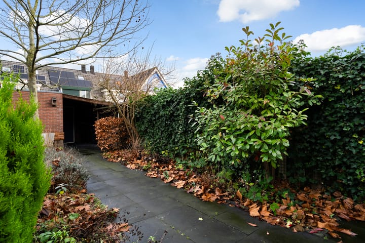 Photo 30 of Romulus 24