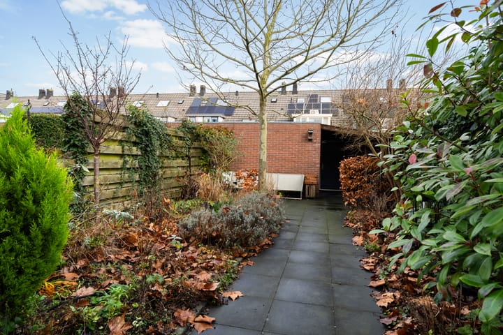 Photo 31 of Romulus 24