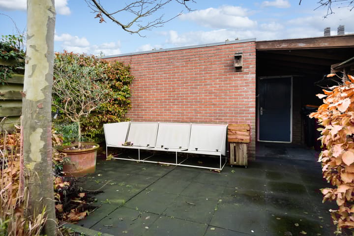 Photo 32 of Romulus 24