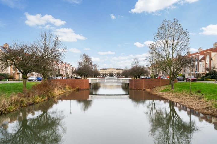 Photo 35 of Romulus 24