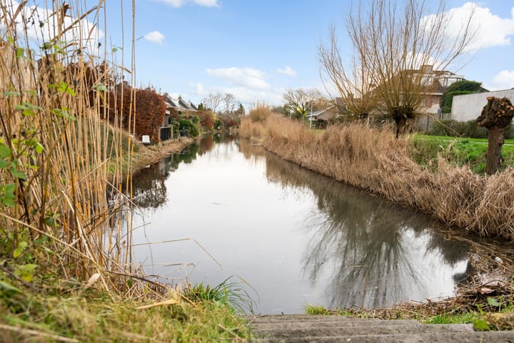 Photo 36 of Romulus 24