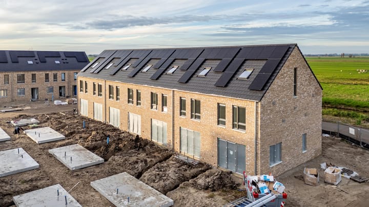 Foto 3 van Duizendblad 1