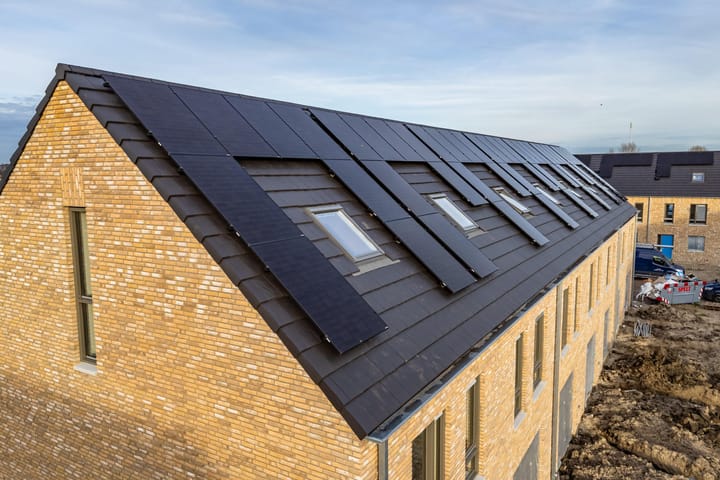 Foto 6 van Duizendblad 1