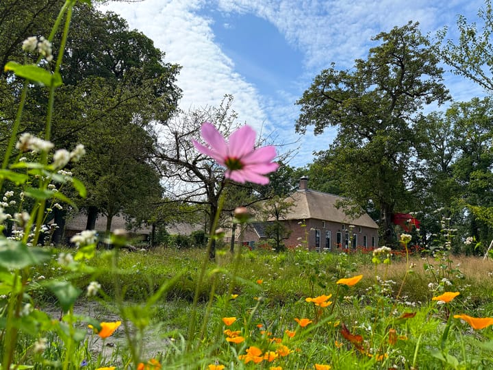 Foto 8 van Lutten Oever 7