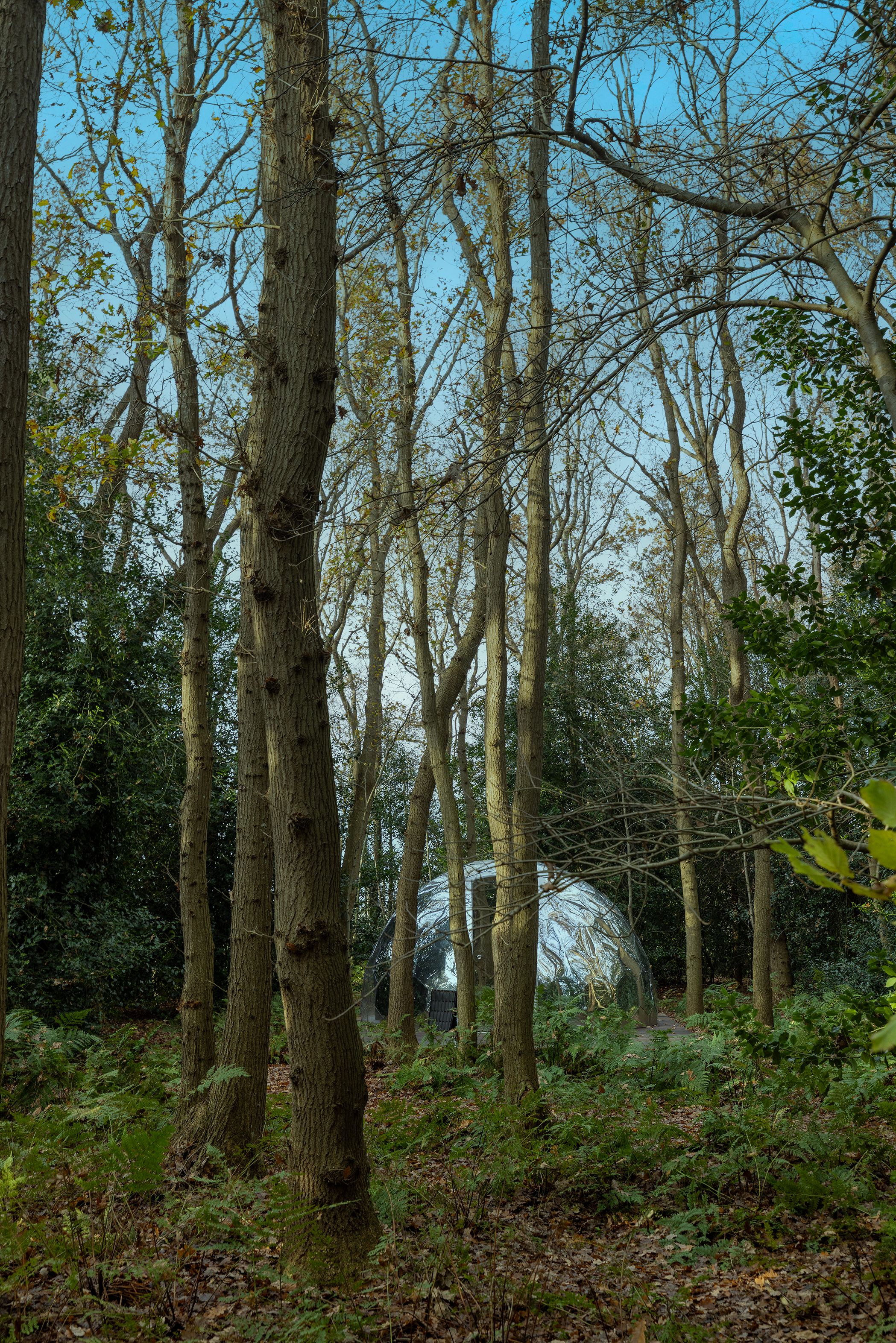 Foto 120 van Lutten Oever 7