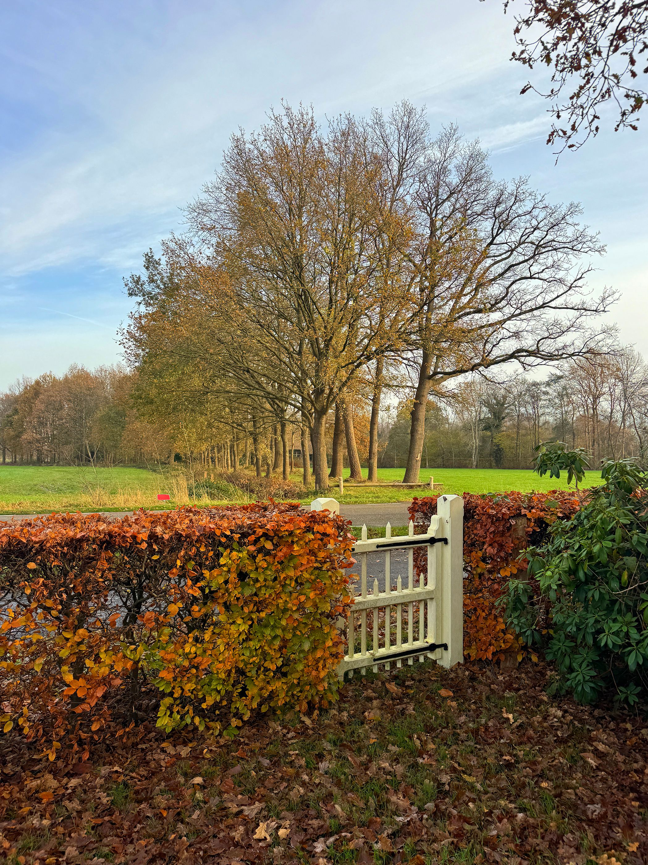 Foto 129 van Lutten Oever 7