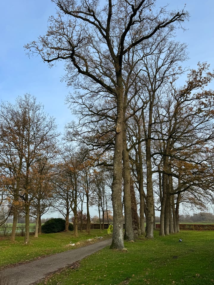 Foto 134 van Lutten Oever 7