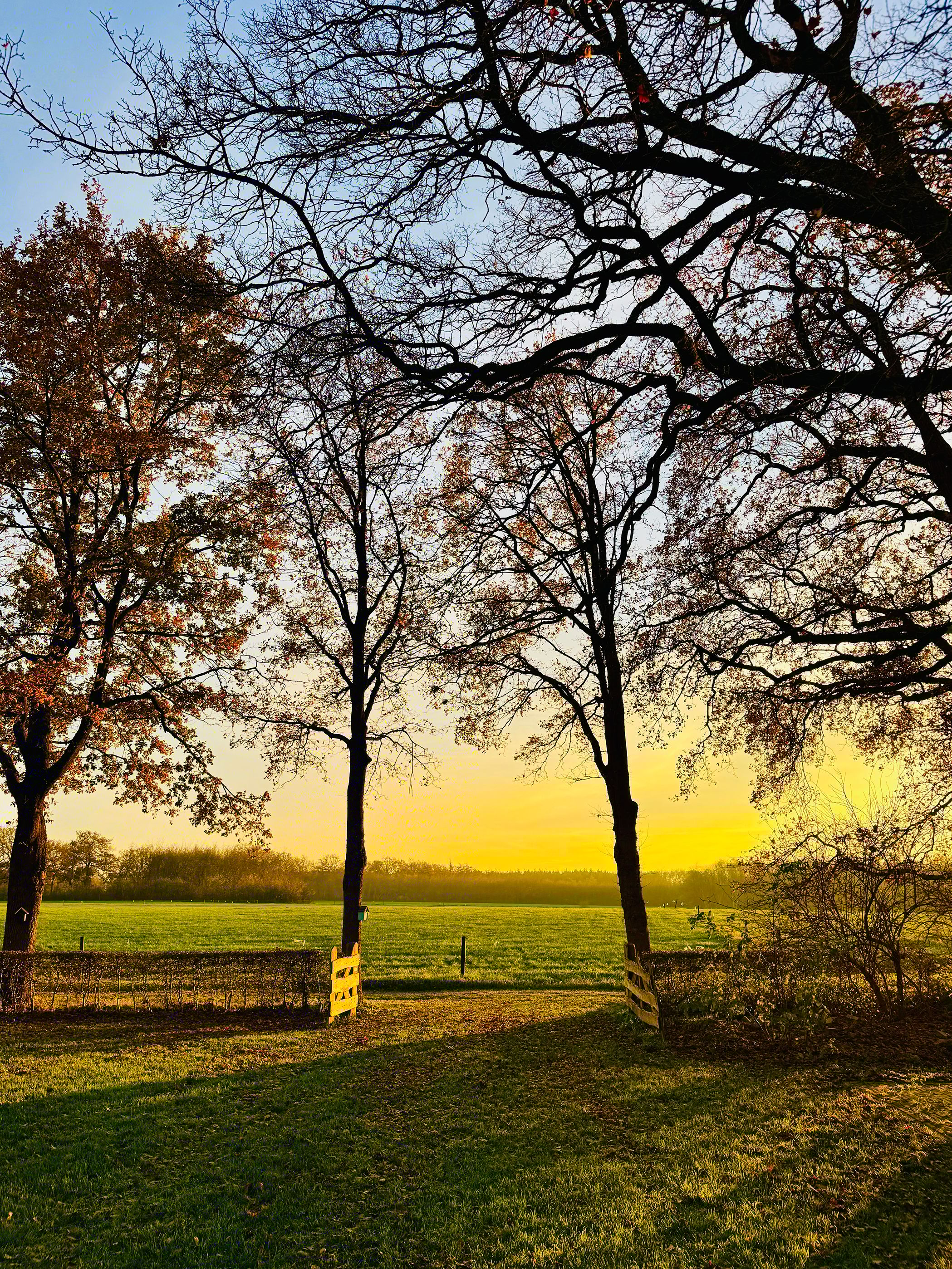 Foto 135 van Lutten Oever 7