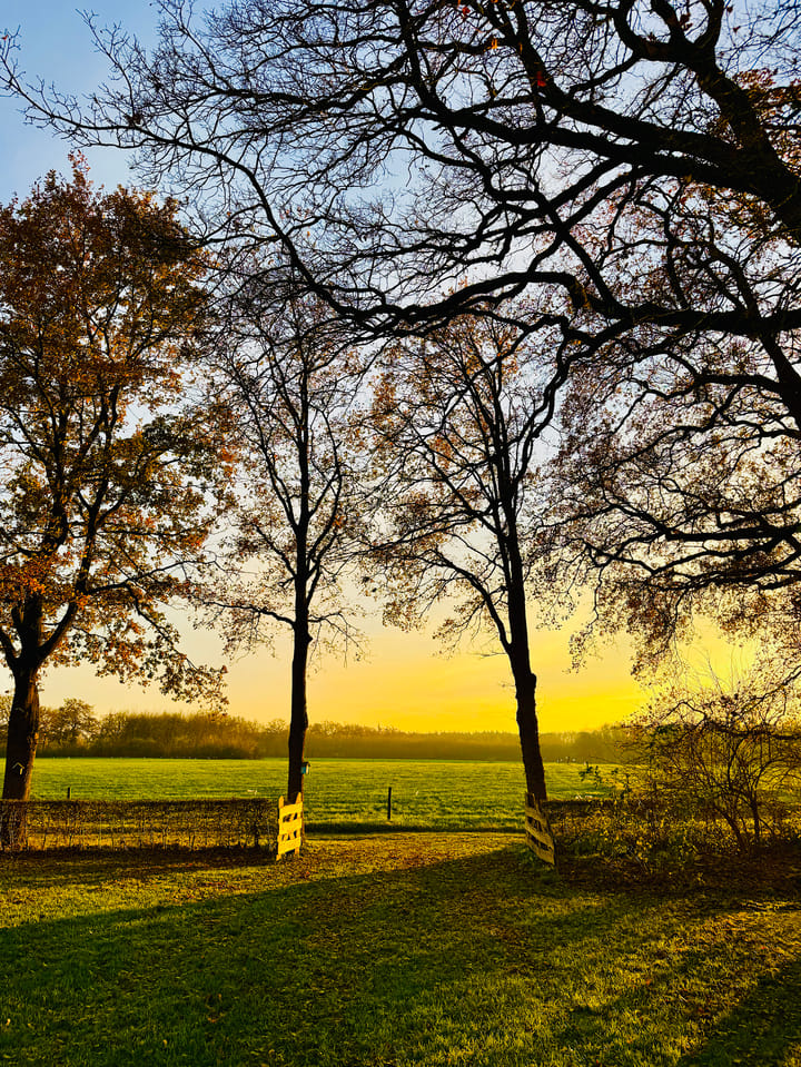 Foto 135 van Lutten Oever 7