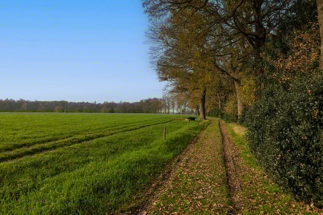 Foto 136 van Lutten Oever 7