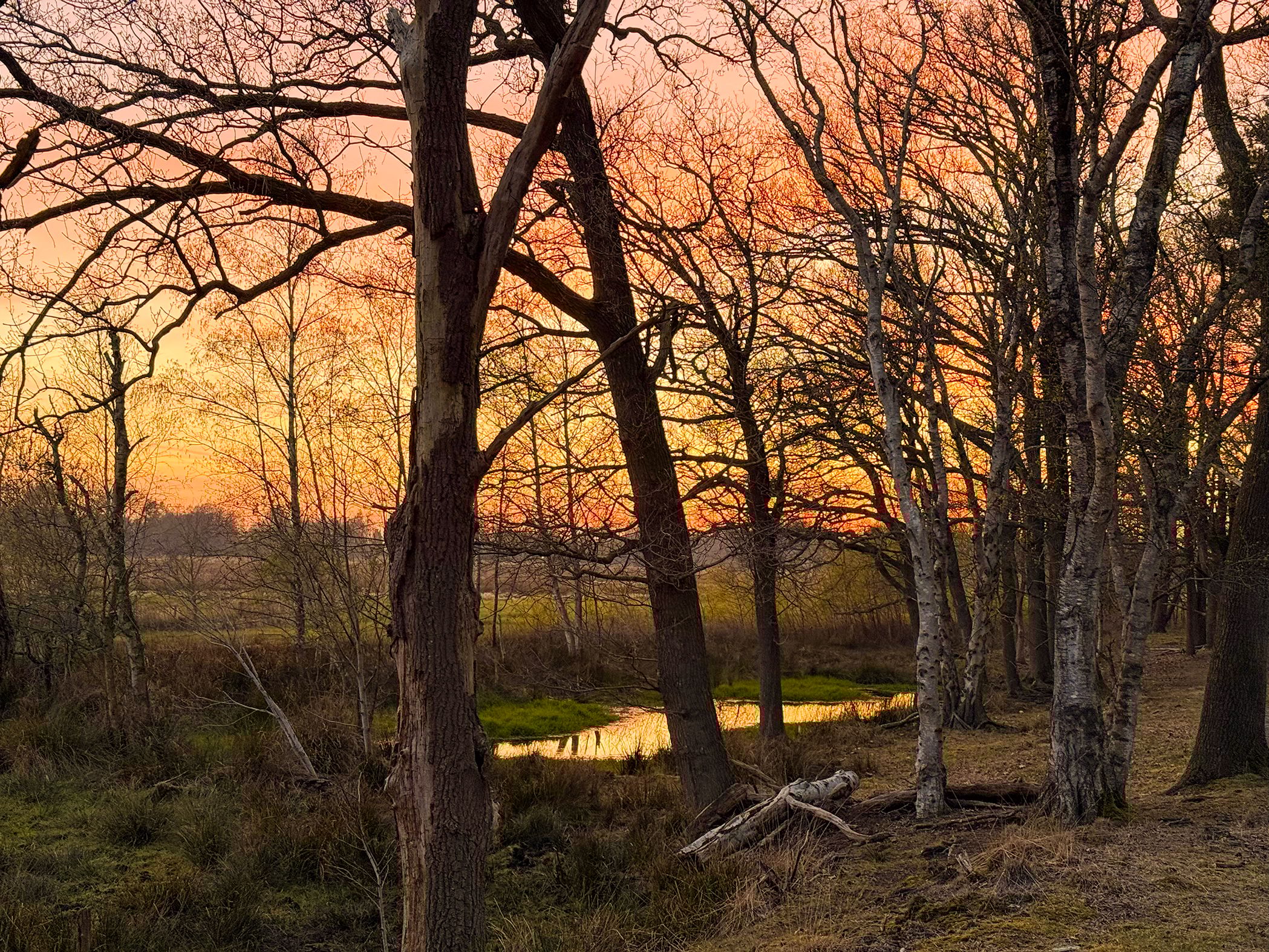 Foto 141 van Lutten Oever 7