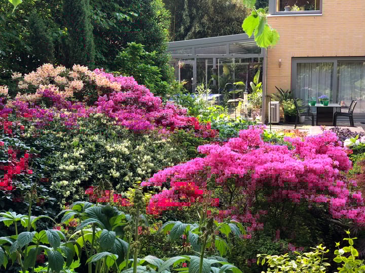 Foto 3 van Surinamelaan 17-C