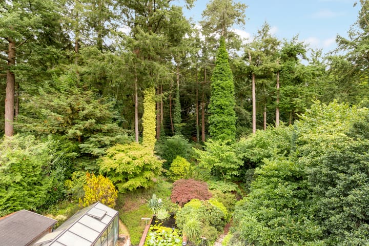 Foto 41 van Surinamelaan 17-C