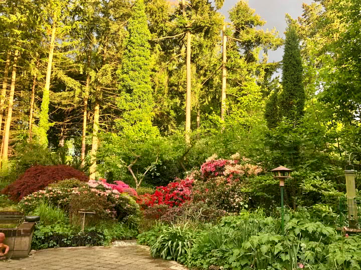 Foto 45 van Surinamelaan 17-C