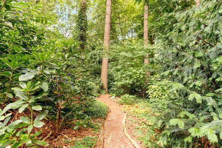 Foto 49 van Surinamelaan 17-C