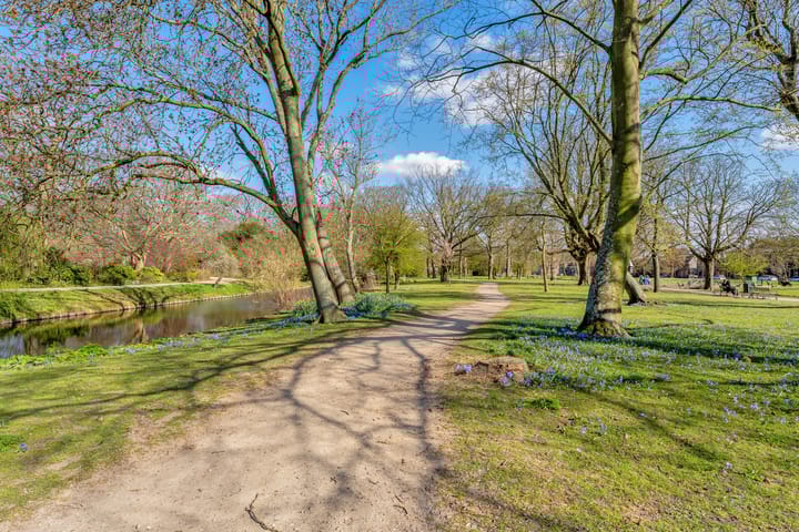 Photo 58 of Hofsingel 34