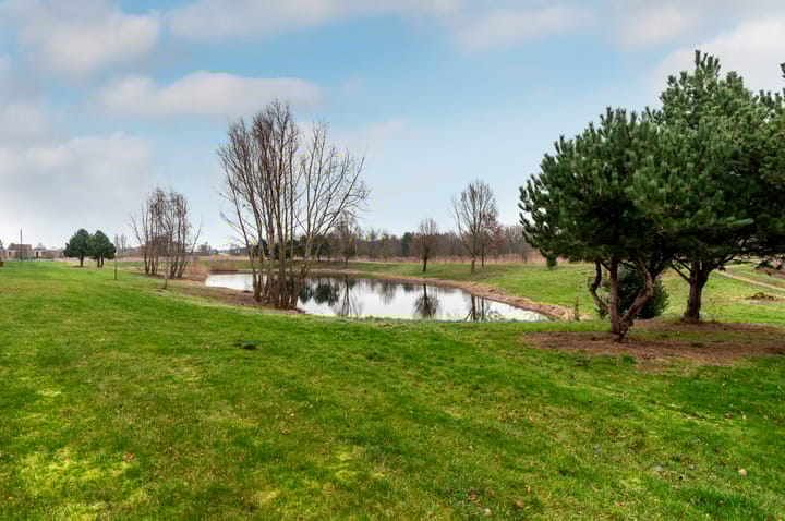 Photo 25 of Houtwal 2