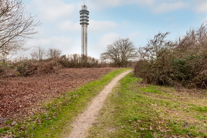 Photo 32 of Houtwal 2