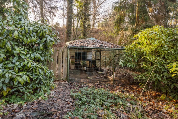 Foto 71 van Dorpstraat 4