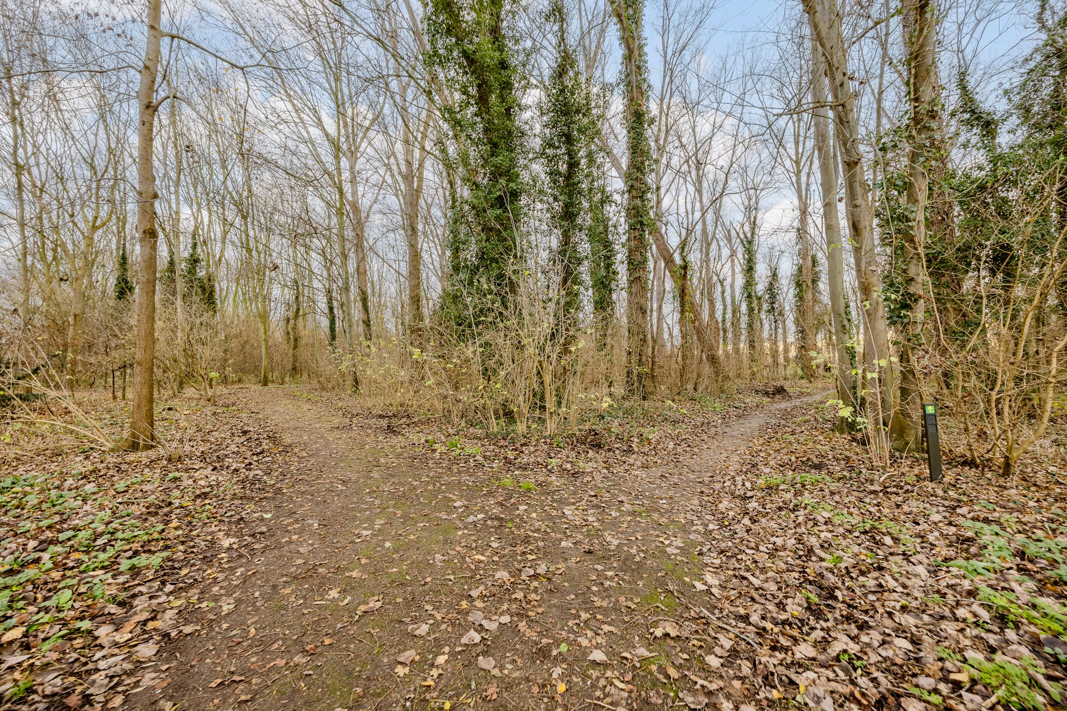 Foto 39 van Populierenstraat 35