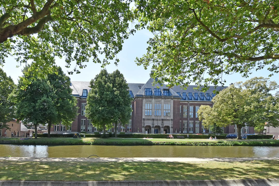 Photo 1 of Oostplantsoen 100