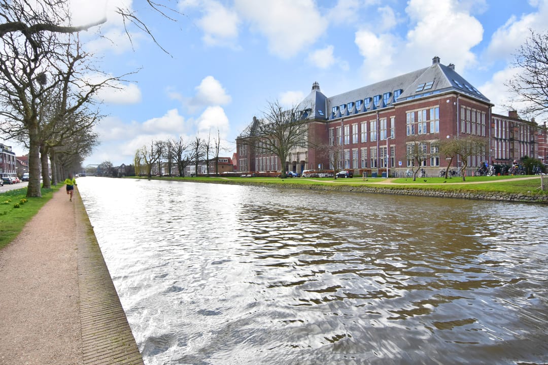 Photo 2 of Oostplantsoen 100