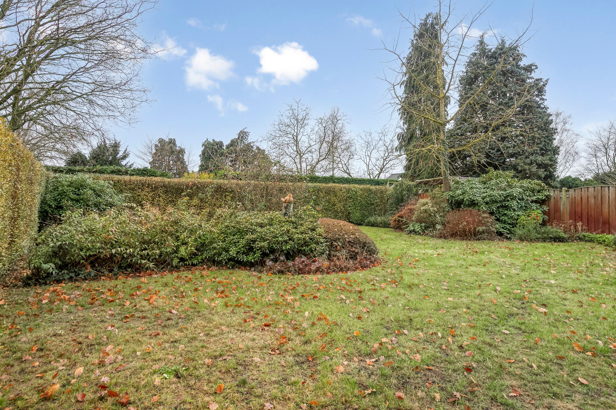 Foto 3 van Beukenlaan 16