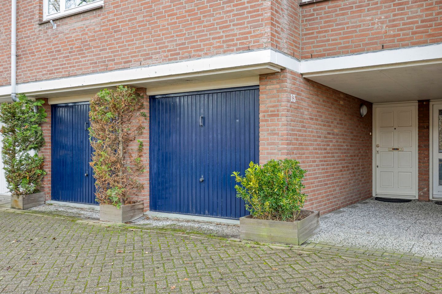 Foto 5 van Koolzaadakker 13