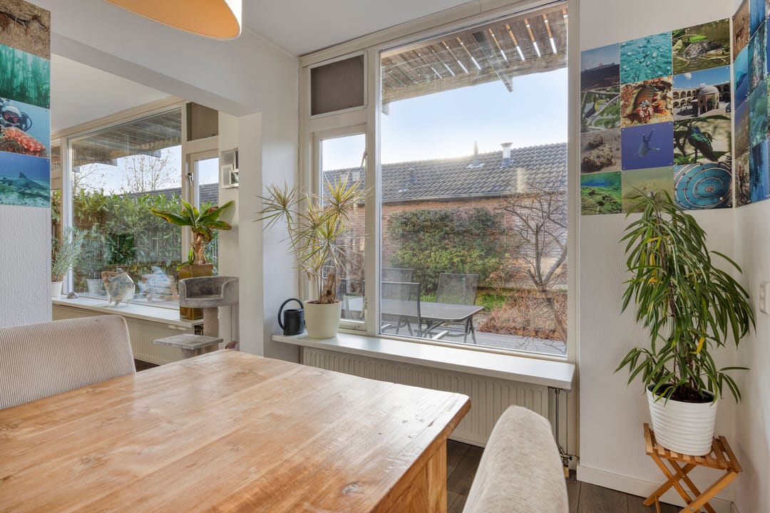 Foto 13 van Koolzaadakker 13