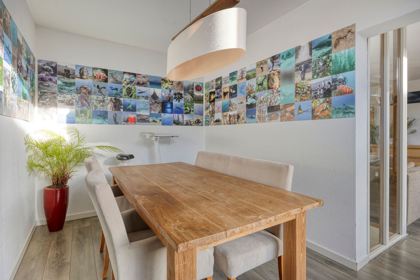 Foto 14 van Koolzaadakker 13