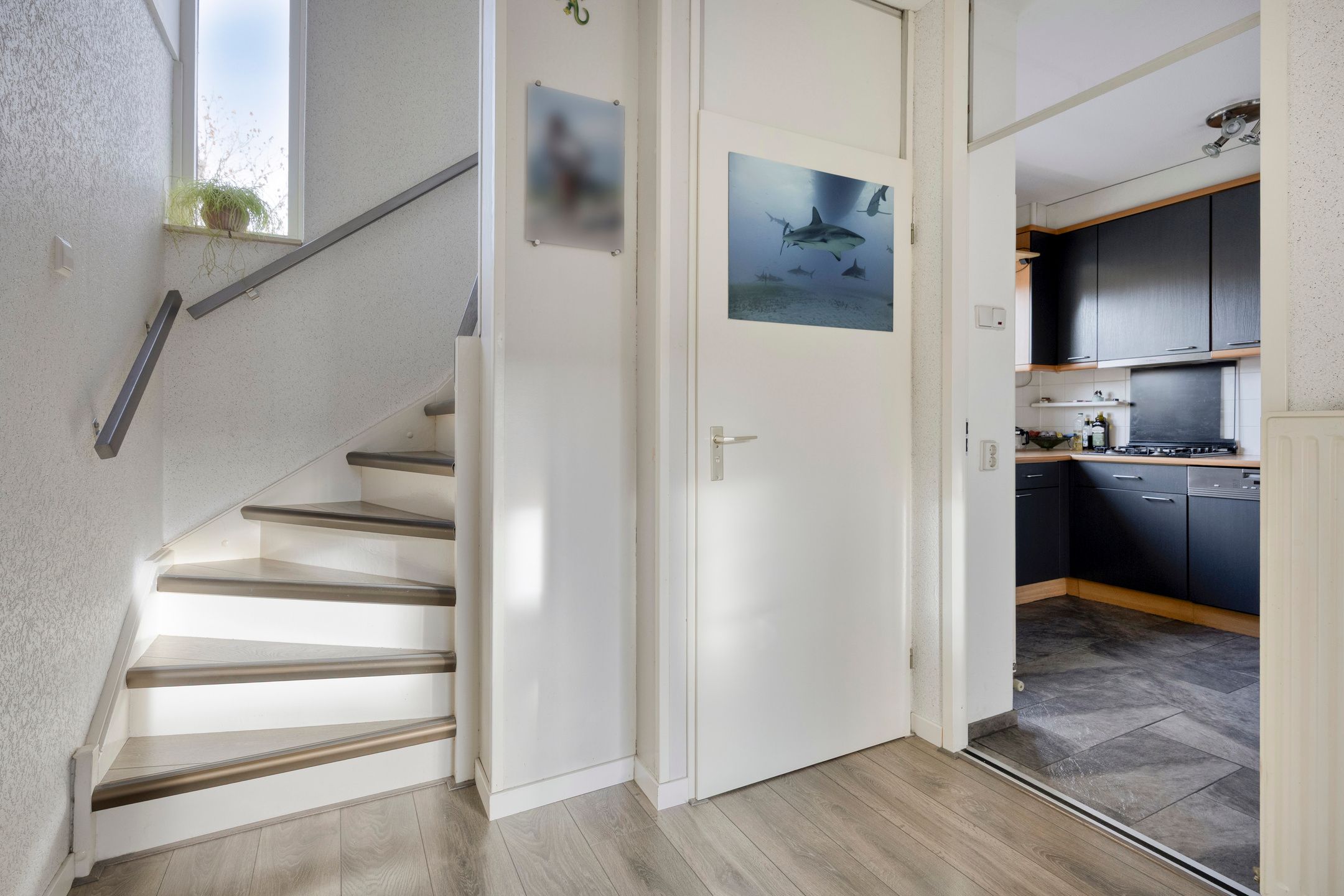 Foto 15 van Koolzaadakker 13