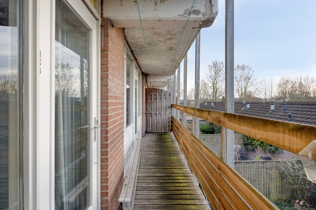 Foto 28 van Koolzaadakker 13