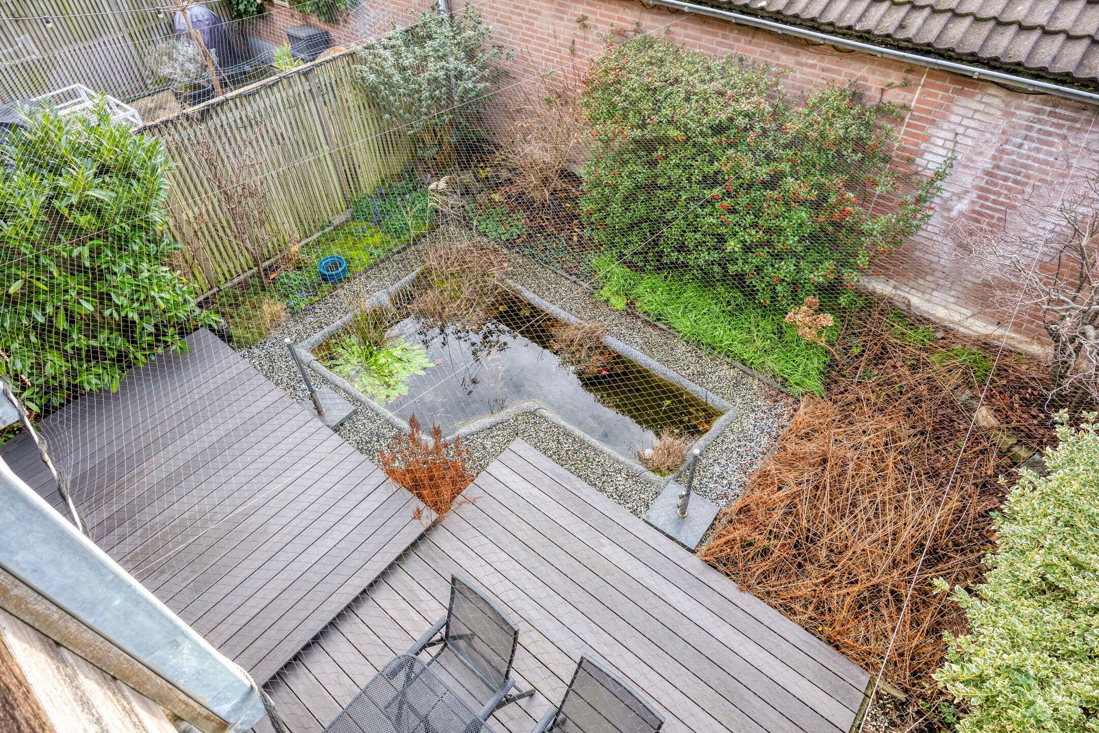 Foto 33 van Koolzaadakker 13