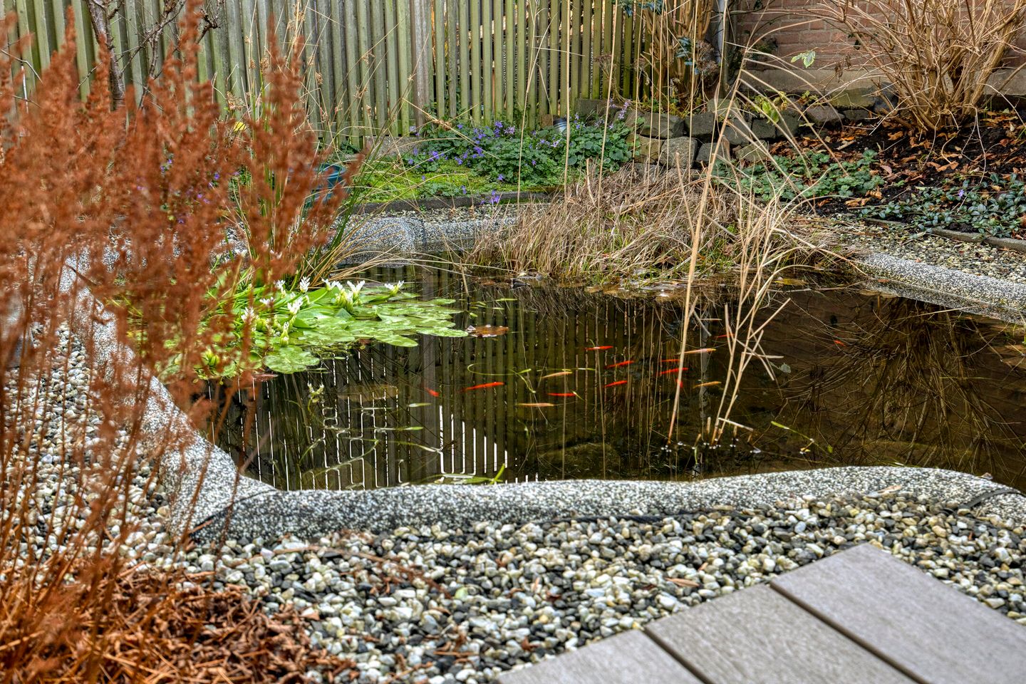 Foto 35 van Koolzaadakker 13