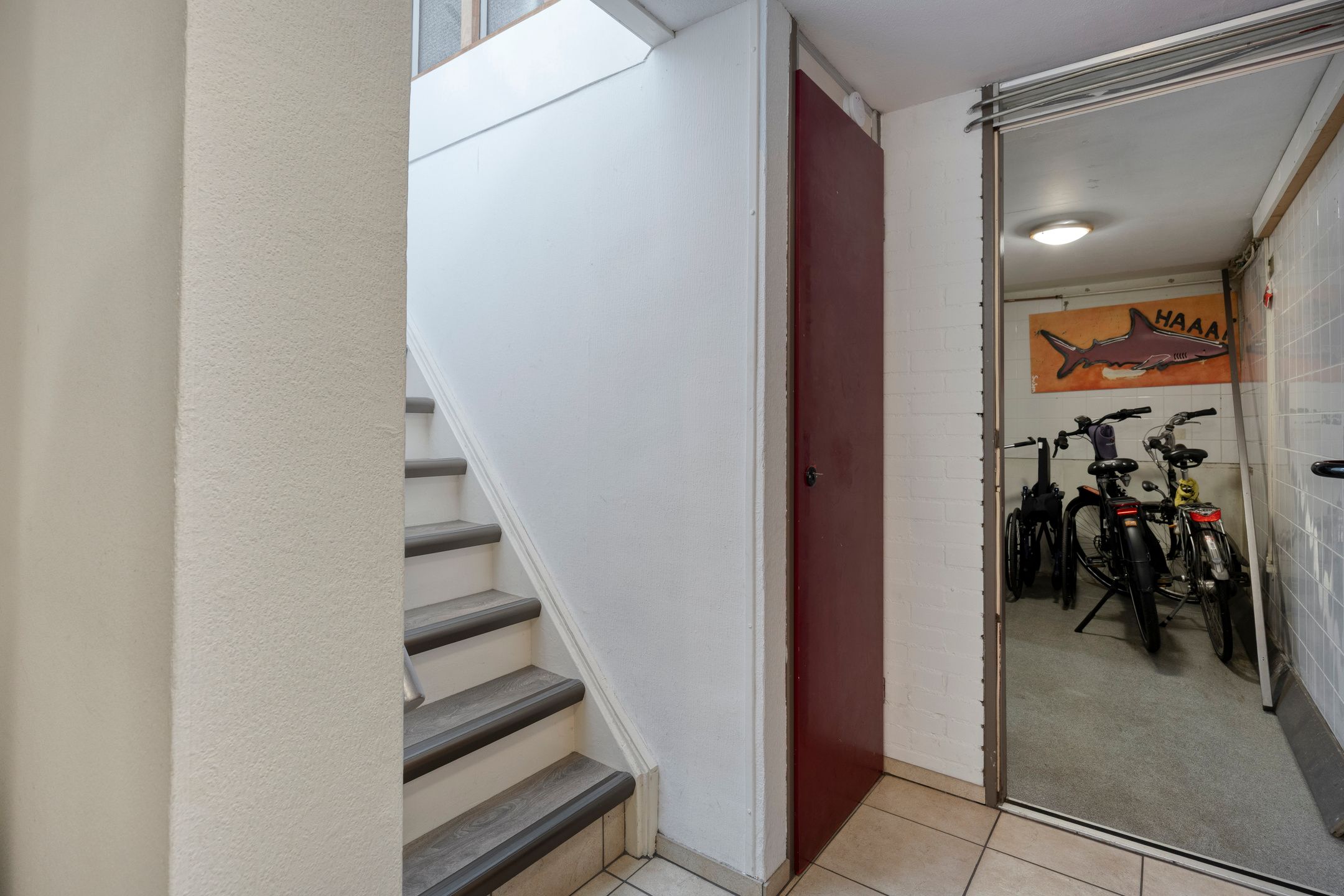 Foto 39 van Koolzaadakker 13