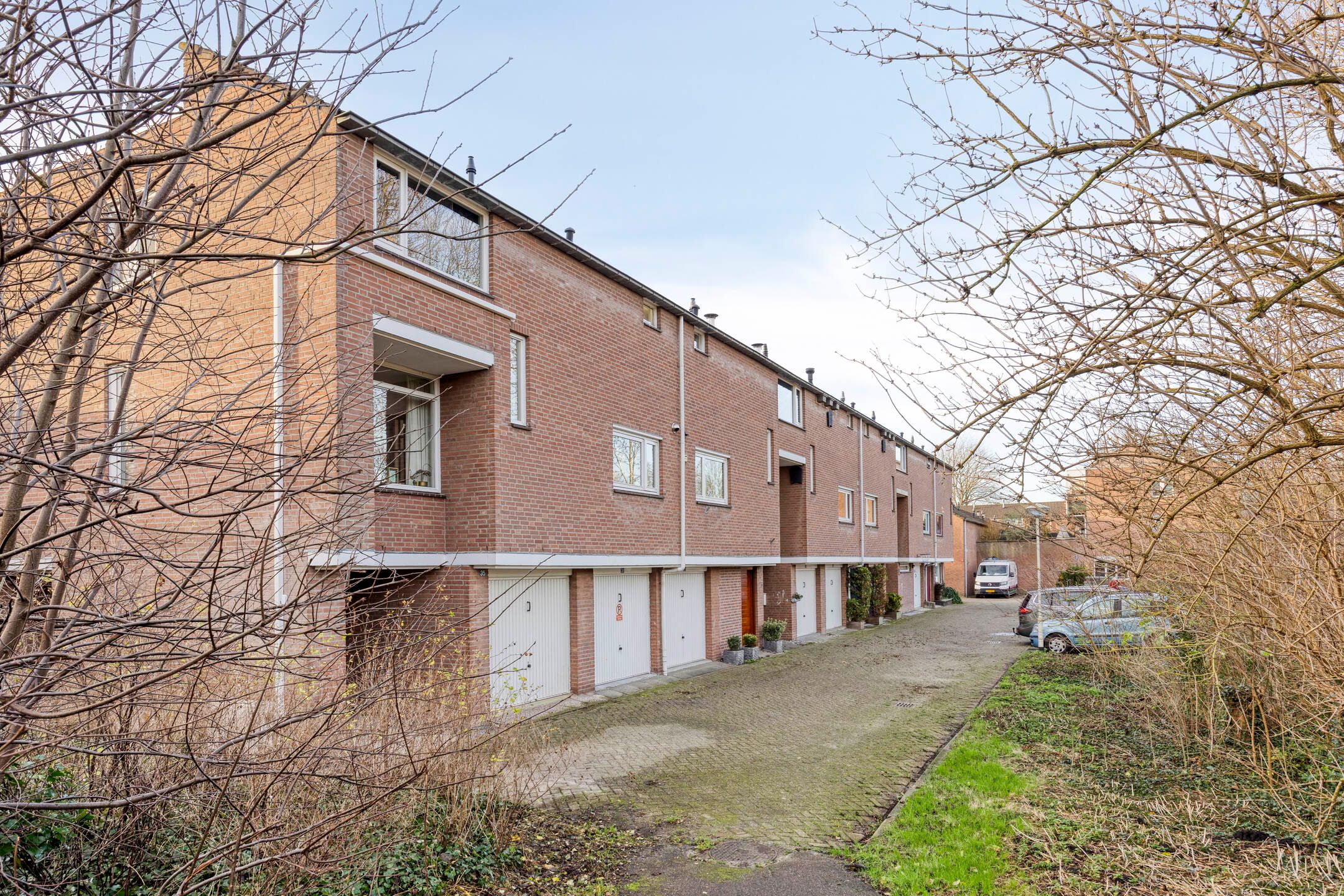 Foto 45 van Koolzaadakker 13