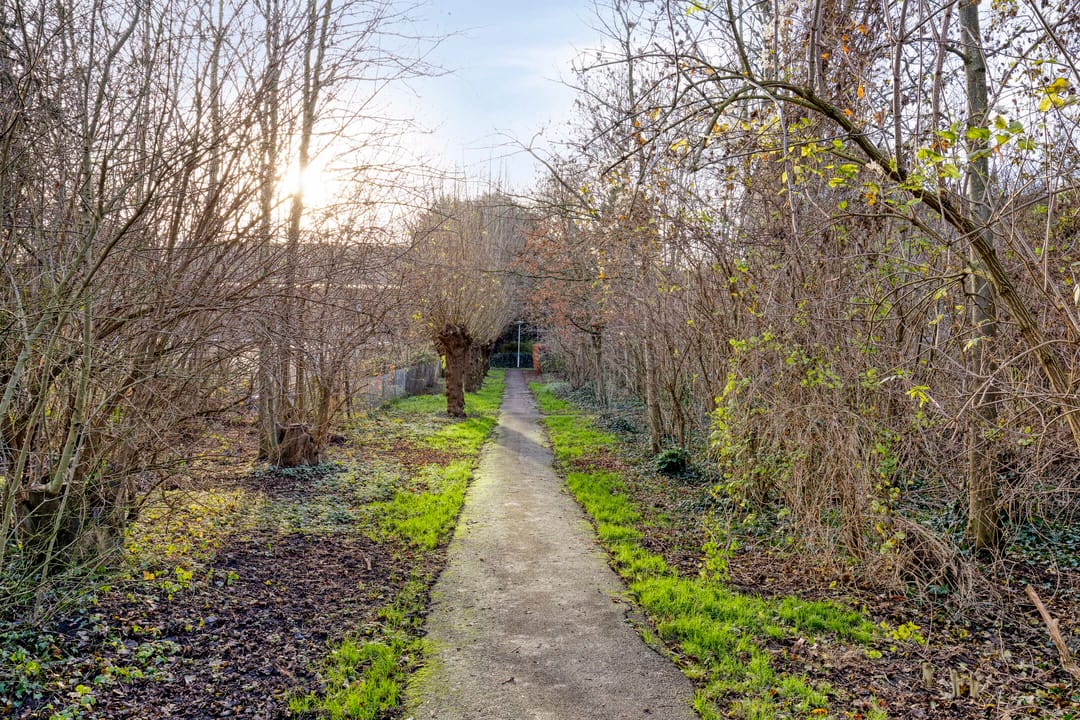 Foto 46 van Koolzaadakker 13